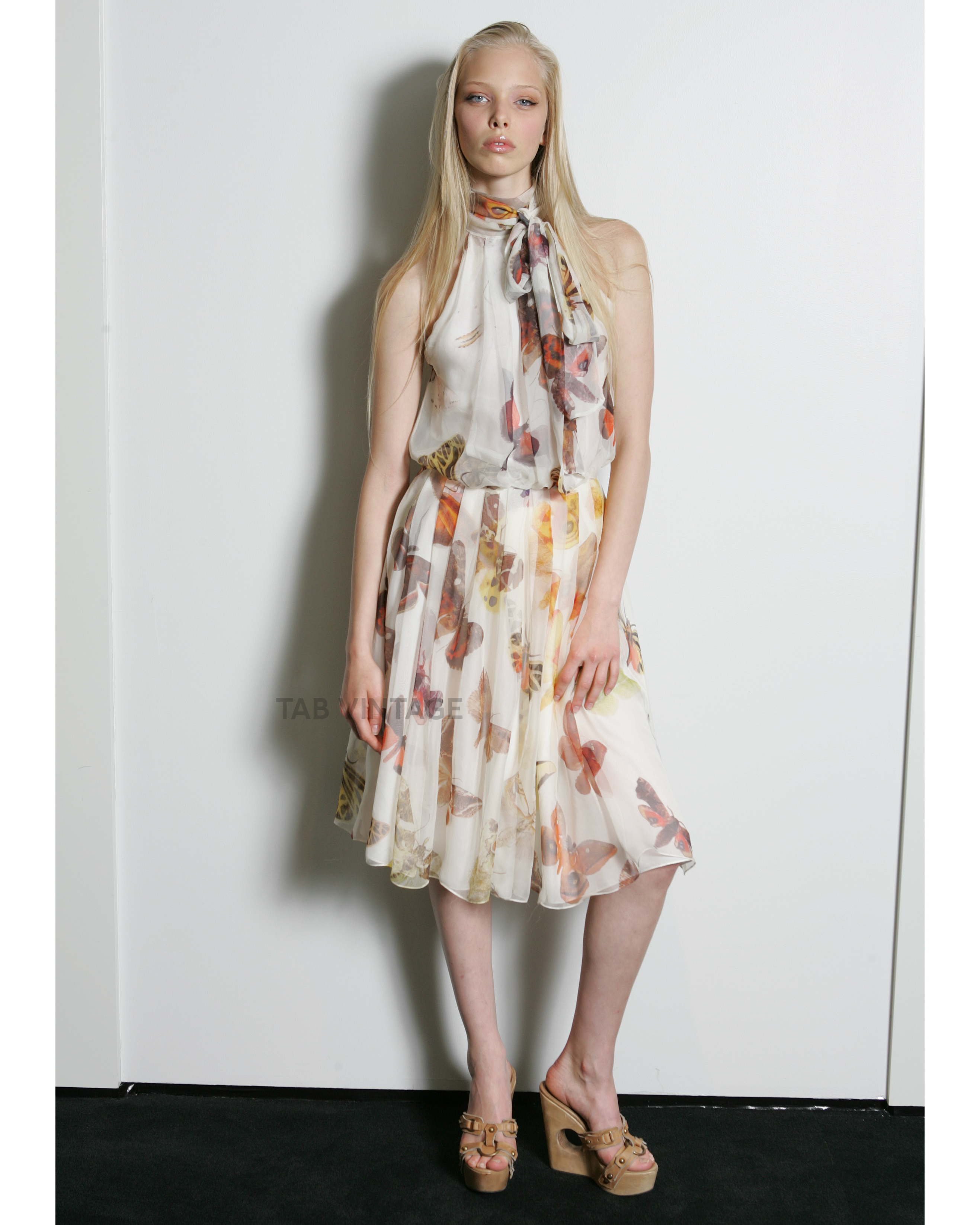 Pre-Spring 2007 Butterfly Moth Print Silk Chiffon Mini Dress